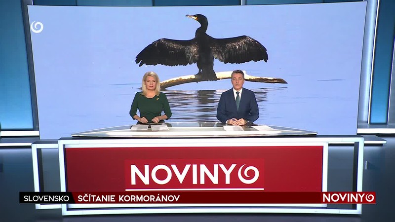 DEMONŠTRANTI OBSADILI BUDOVU SÚDU