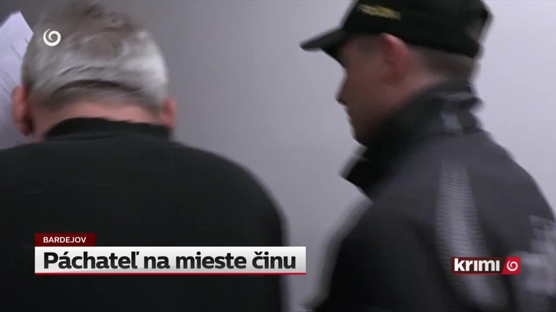 Páchateľ na mieste činu