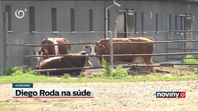 Diego Roda na súde