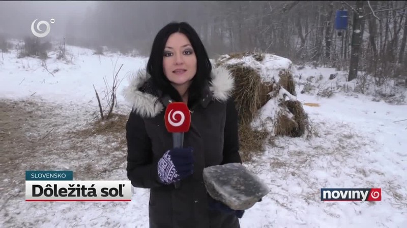 Dôležitá soľ