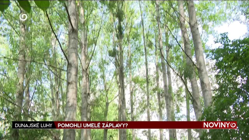 POMOHLI UMELÉ ZÁPLAVY?