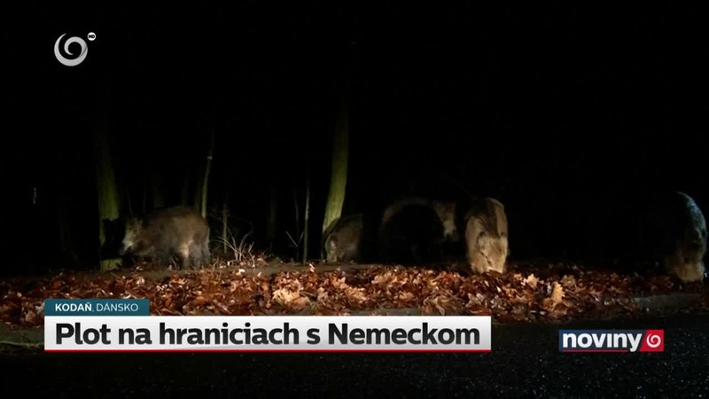 Plot na hraniciach s Nemeckom