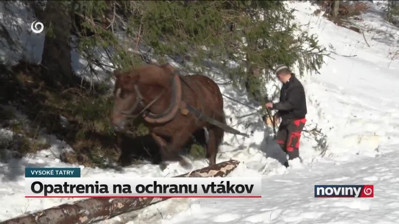 Opatrenia na ochranu vtákov