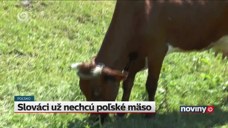 Slováci už nechcú poľské mäso