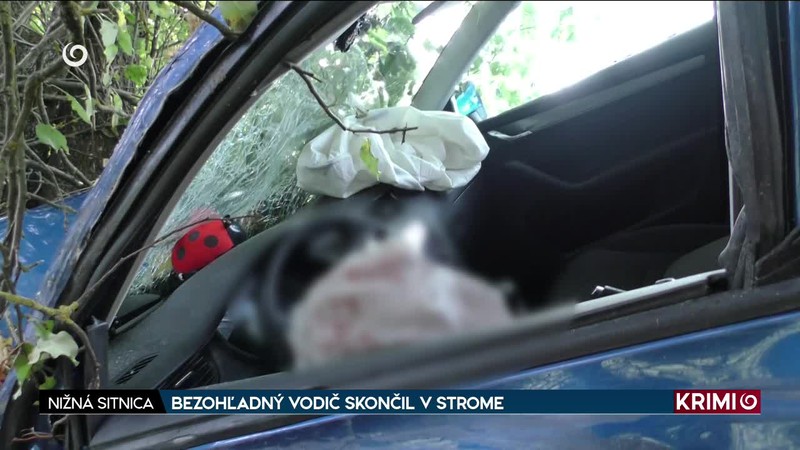 BEZOHĽADNÝ VODIČ SKONČIL V STROME