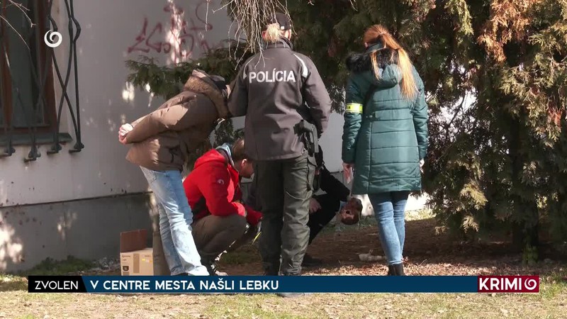 V CENTRE MESTA NAŠLI LEBKU