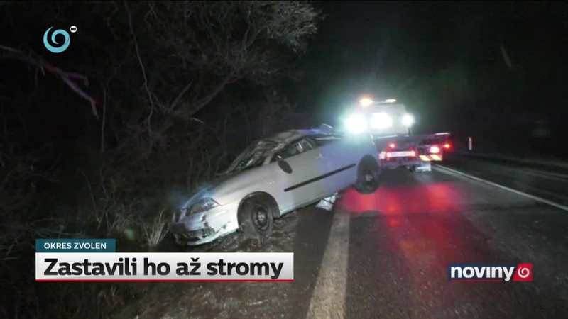 Zastavili ho až stromy