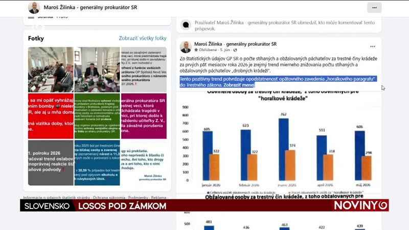 LOSOS POD ZÁMKOM