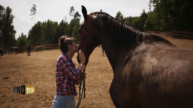 KINOSÁL - EP11 (CZ)