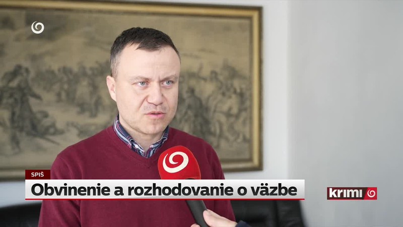 Obvinenie a rozhodovanie o väzbe