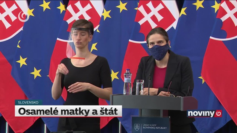 Osamelé matky a štát