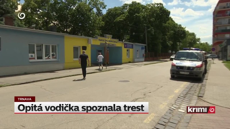 Opitá vodička spoznala trest
