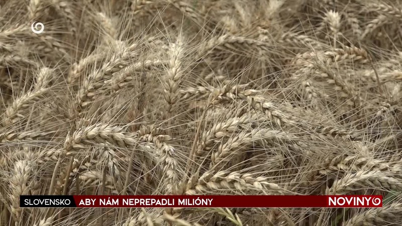 ABY NÁM NEPREPADLI MILIÓNY