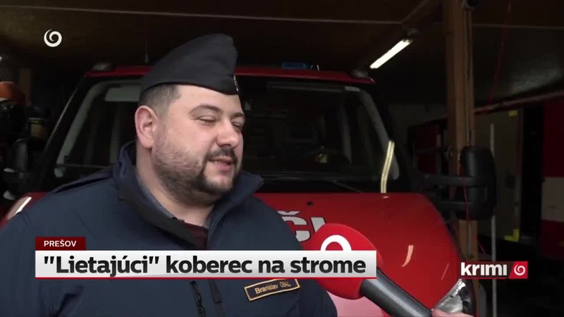 "Lietajúci" koberec na strome