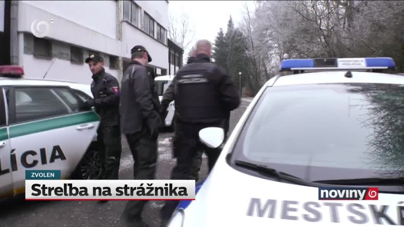 Streľba na strážnika
