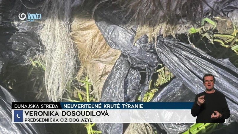 NEUVERITEĽNÉ KRUTÉ TÝRANIE