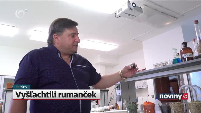 Vyšľachtili rumanček