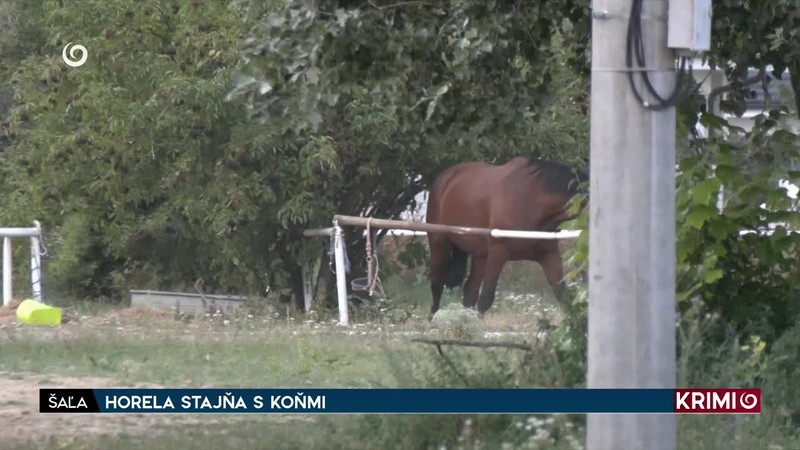 HORELA STAJŇA S KOŇMI