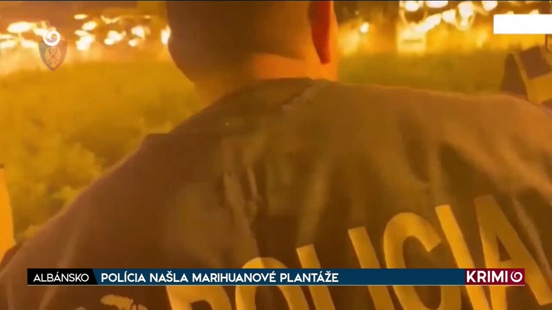 POLÍCIA NAŠLA MARIHUANOVÉ PLANTÁŽE