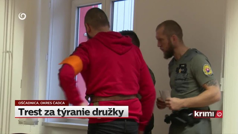 Trest za týranie družky
