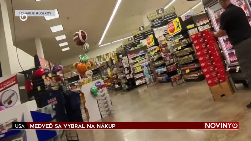 MEDVEĎ SA VYBRAL NA NÁKUP