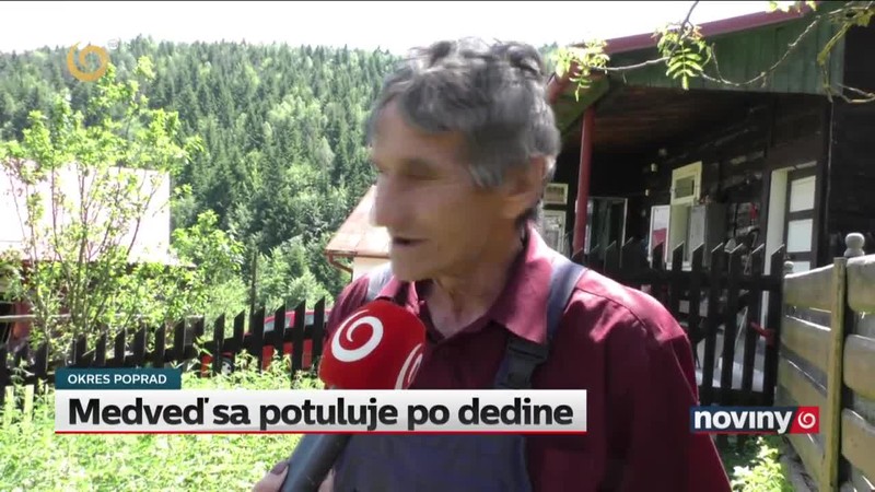 Medveď sa potuluje po dedine
