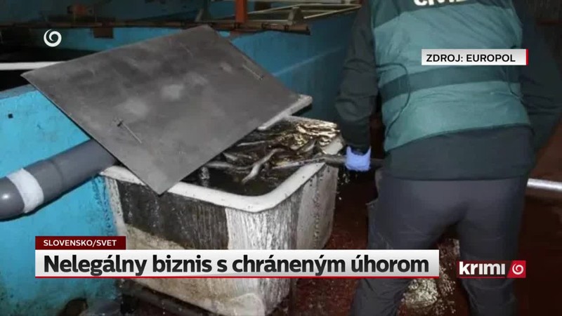 Nelegálny biznis s chráneným úhorom