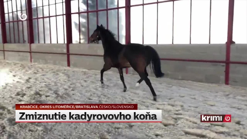 Zmiznutie kadyrovovho koňa