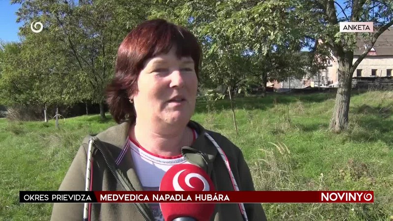 MEDVEDICA NAPADLA HUBÁR