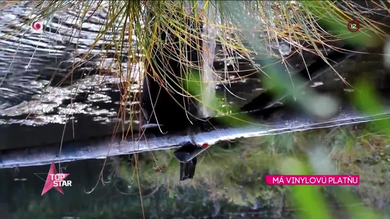 MÁ VINYLOVÚ PLATŇU