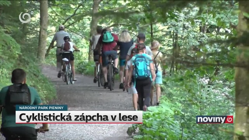 Cyklistická zápcha v lese
