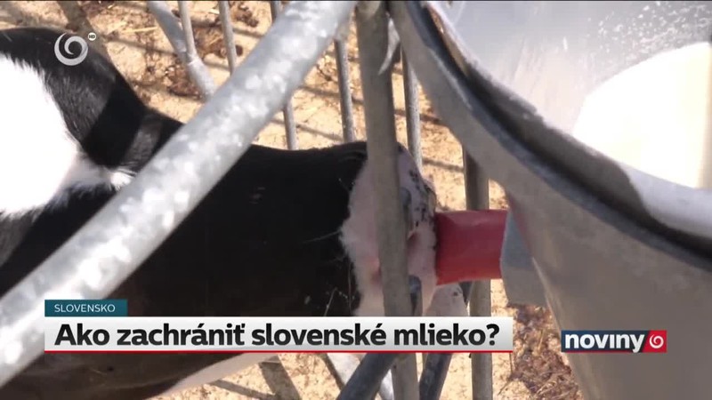 Ako zachrániť slovenské mlieko?