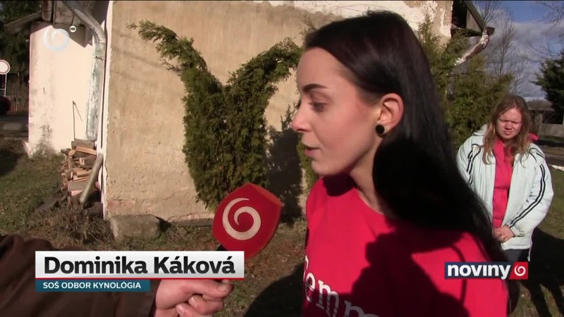 Dobrovoľníci a vodiace psy