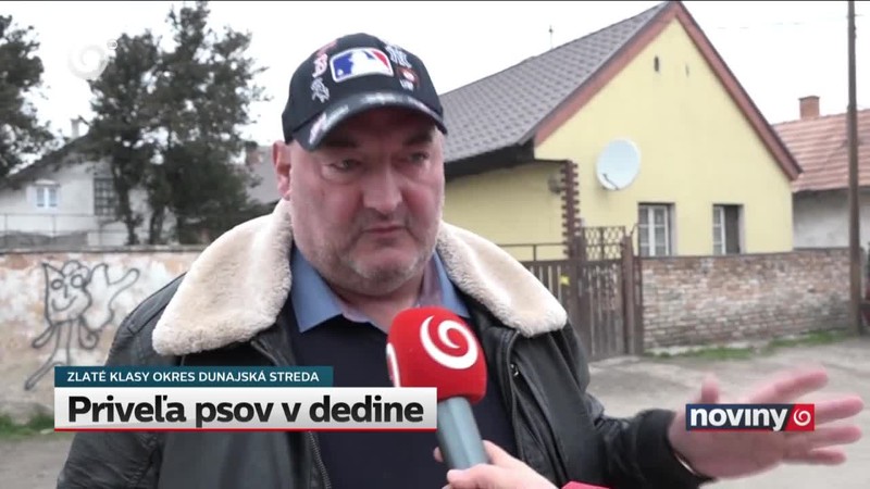 Priveľa psov v dedine