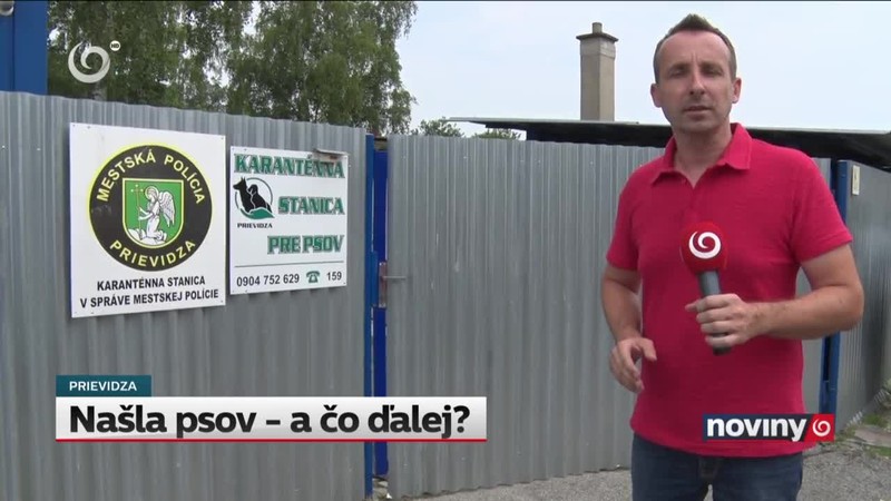 Našla psov - a čo ďalej?