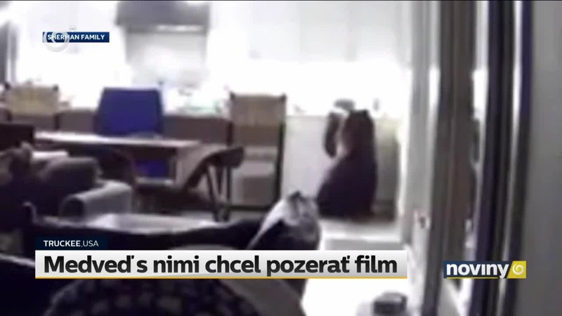 Medveď s nimi chcel pozerať film