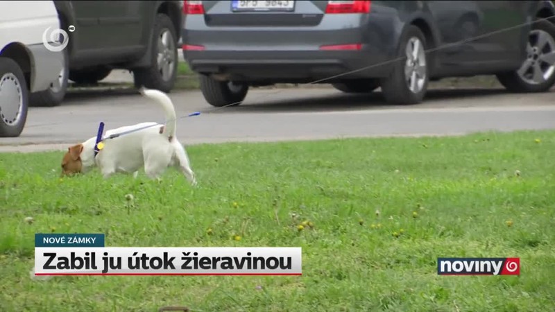 Zabil ju útok žieravinou