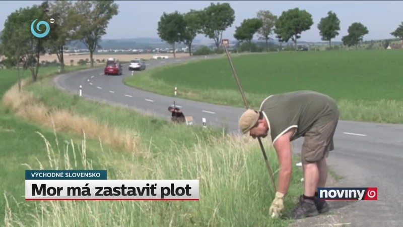Mor má zastaviť plot