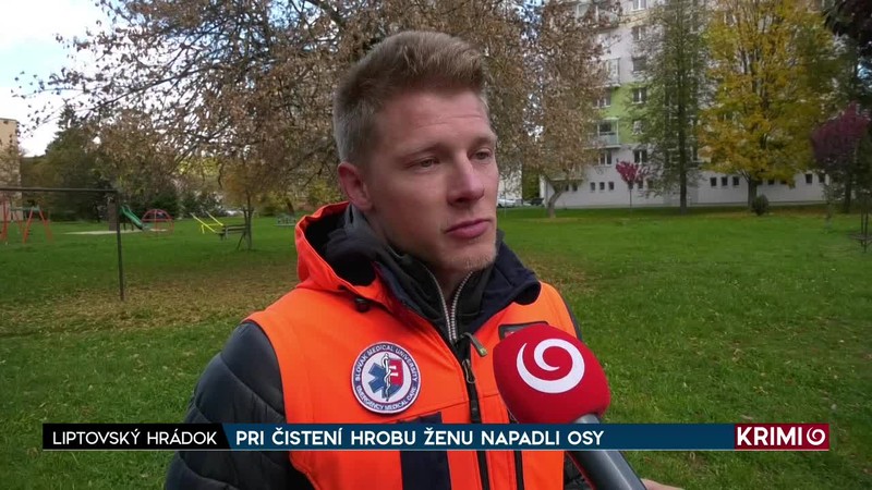 PRI ČISTENÍ HROBU ŽENU NAPADLI OSY