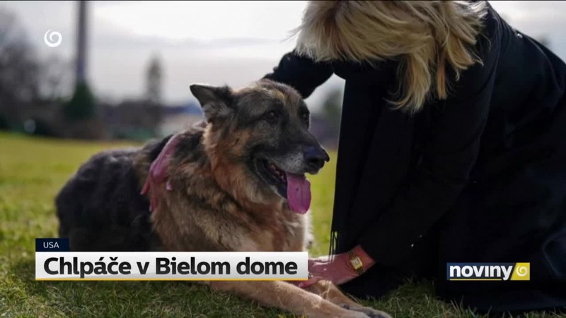 Chlpáče v Bielom dome