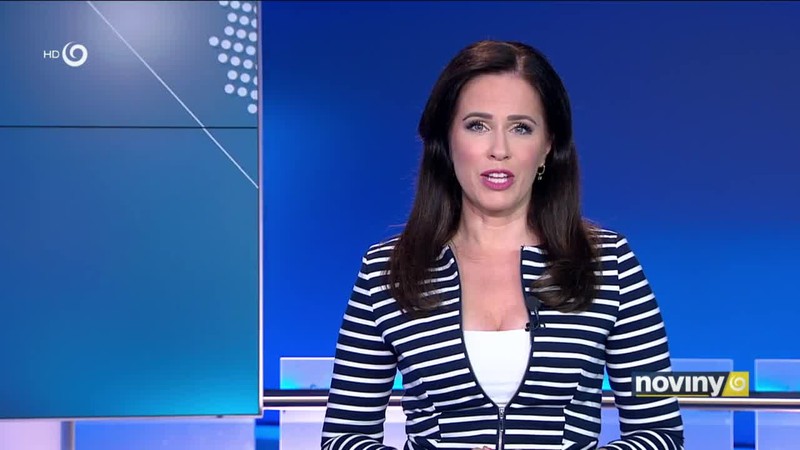 Hon na nebezpečného sršňa