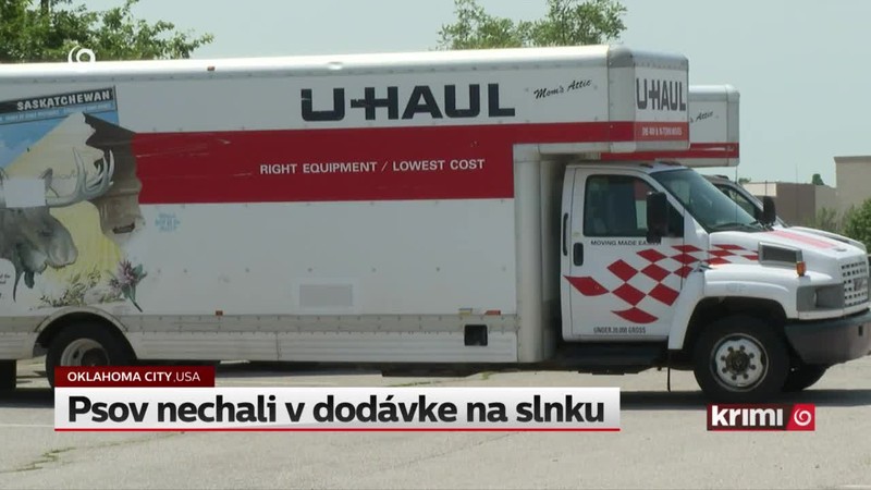 Psov nechali v dodávke na slnku