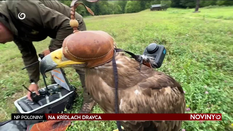 NA KRÍDLACH DRAVCA