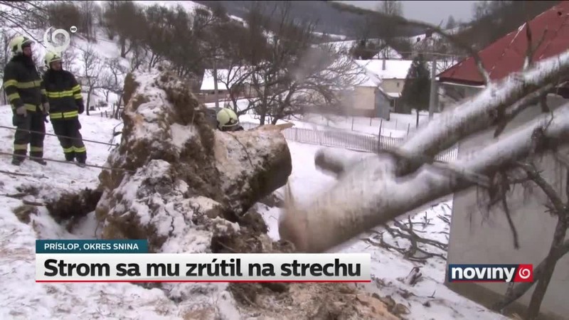 Strom sa mu zrútil na strechu
