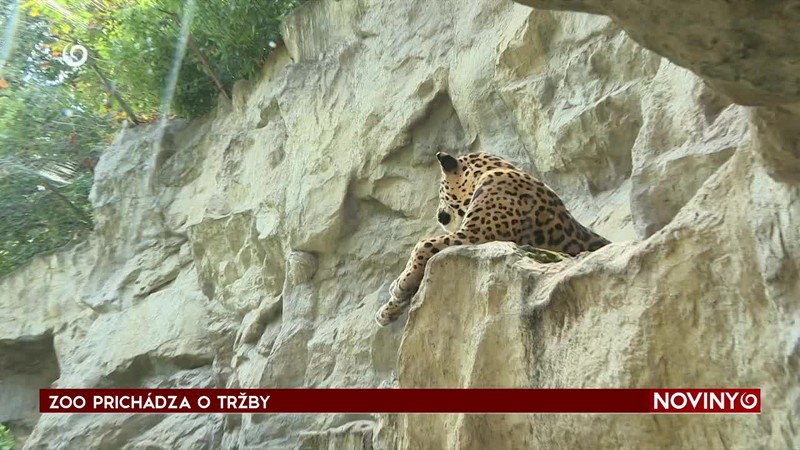 ZOO PRICHÁDZA O TRŽBY