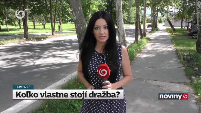 Koľko vlastne stojí dražba?