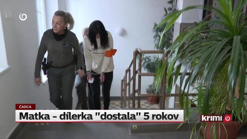 Matka - dílerka "dostala" 5 rokov