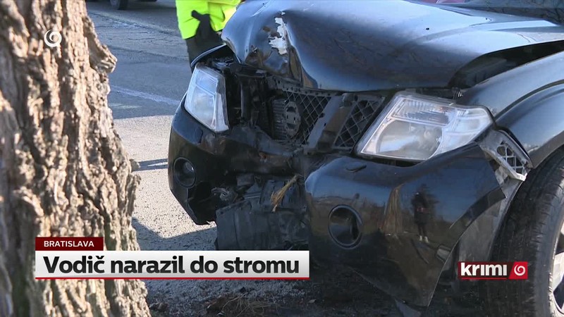 Vodič narazil do stromu