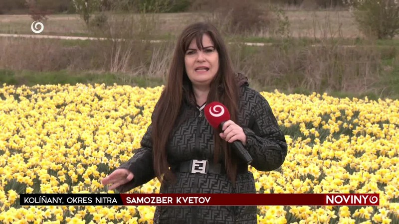 SAMOZBER KVETOV