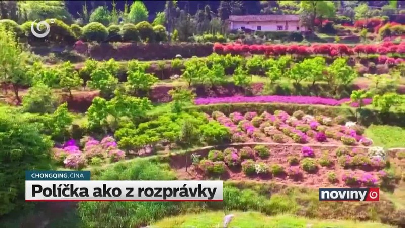 Políčka ako z rozprávky